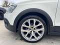 Volkswagen Polo CROSS 5P 1.4 TDI COMFORTLINE 90 CV DSG 17" UNIPRO Wit - thumbnail 5