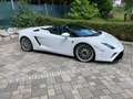 Lamborghini Gallardo Gallardo Spyder E-Gear Weiß - thumbnail 3