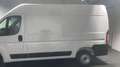 Fiat Ducato Ducato 33 2.2 Mjt 140CV PLM-TM Furgone Bianco - thumbnail 2