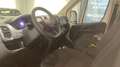 Fiat Ducato Ducato 33 2.2 Mjt 140CV PLM-TM Furgone Bianco - thumbnail 7