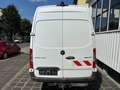 Mercedes-Benz Sprinter 516 CDI RWD +AHK+RFK+Sortimo Einbau+STHZ+220V Blanco - thumbnail 29