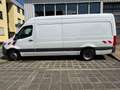 Mercedes-Benz Sprinter 516 CDI RWD +AHK+RFK+Sortimo Einbau+STHZ+220V Blanco - thumbnail 30