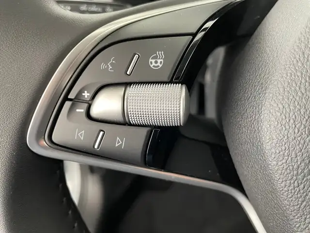 Skoda Kamiq view 14
