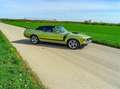 Ford Mustang Mustang Boss 302 Grün - thumbnail 3