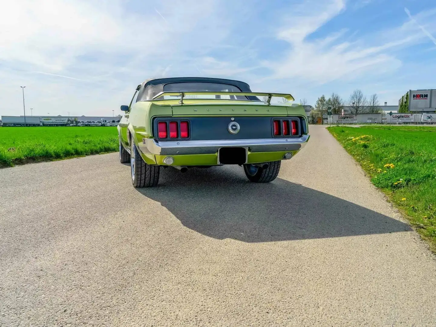 Ford Mustang Mustang Boss 302 Grün - 2