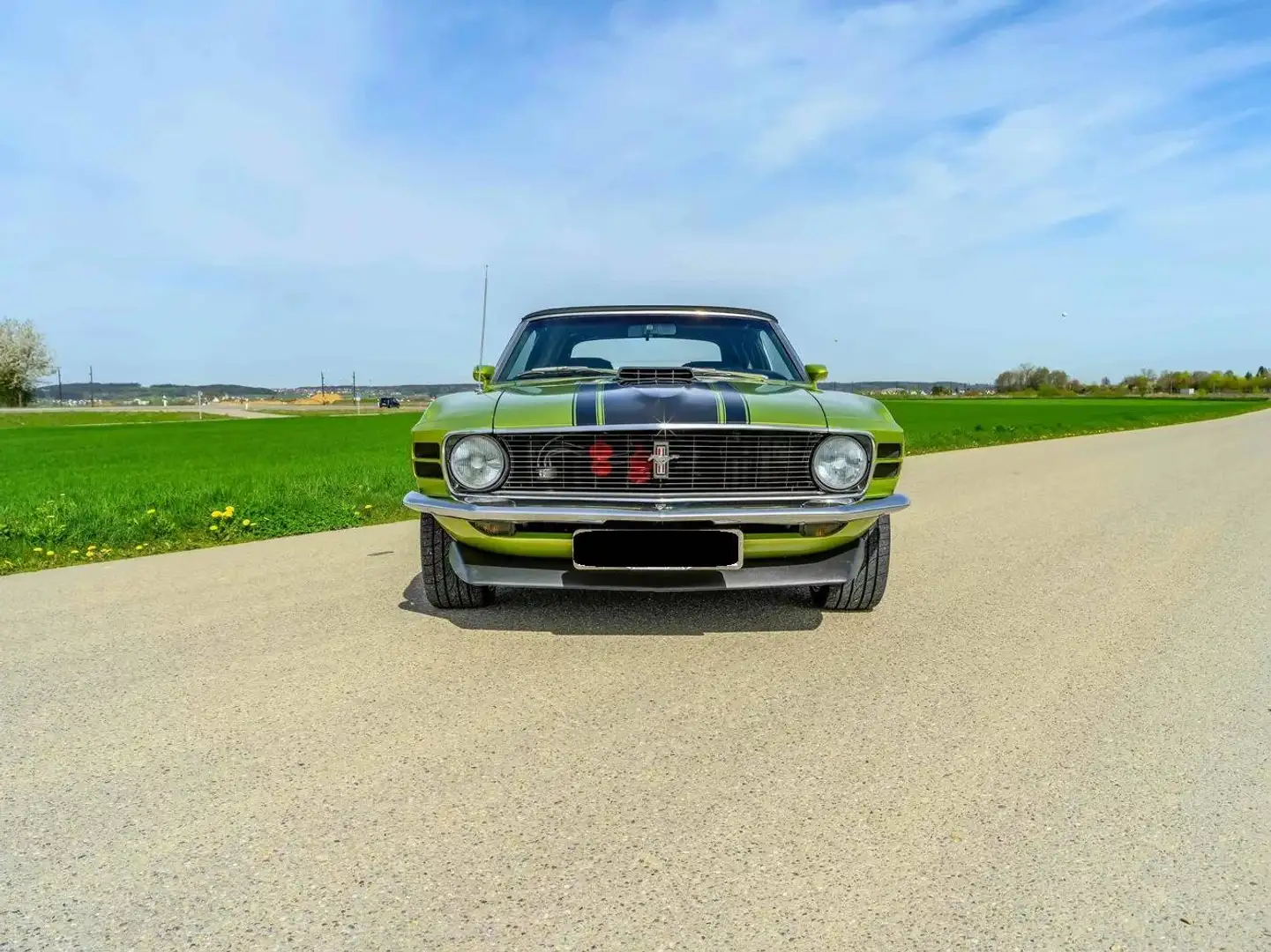 Ford Mustang Mustang Boss 302 Grün - 1