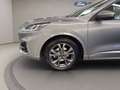 Ford Kuga 1.5 ecoblue ST-Line 2wd 120cv Grigio - thumbnail 7