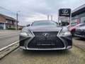Lexus LS 500 President Line Grau - thumbnail 2