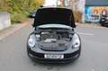 Volkswagen Beetle Cabriolet Sport Leder 1. Hand PDC Schwarz - thumbnail 29