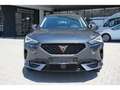 CUPRA Formentor 2.0 TSI 4Drive DSG AHK Navi LED ACC Grau - thumbnail 9