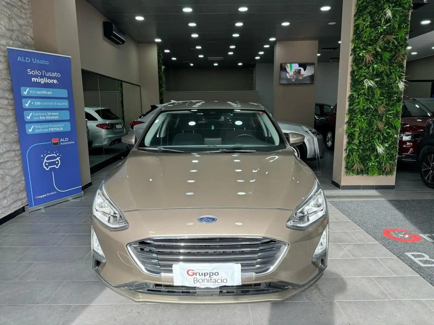 Ford Focus Focus 1.5 ecoblue Titanium 120cv auto Bronzo - 2