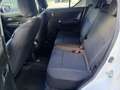 Suzuki Ignis Ignis III 2022 1.2h Top 4wd allgrip Bianco - thumbnail 6
