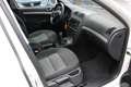 Skoda Octavia Octavia 1,6 TDI*Ambition*PDC*AHK*Klima*AUX Weiß - thumbnail 14