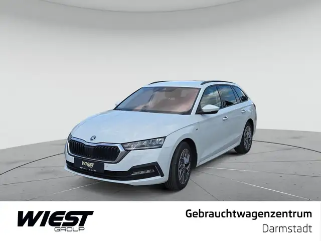 2023 Skoda Octavia in White for sale