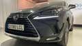 Lexus NX 300 300h Executive Navigation 4WD Schwarz - thumbnail 32