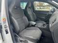 CUPRA Ateca 1.5 TSI 110 KW (150 PS) 7-GANG DSG Weiß - thumbnail 16
