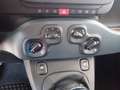 Fiat Panda Panda 1.0 FireFly S&S Hybrid Noir - thumbnail 13