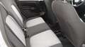 Fiat Panda Panda  1.2  BENZINA Lounge s Grigio - thumbnail 14