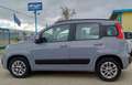 Fiat Panda Panda  1.2  BENZINA Lounge s Grigio - thumbnail 7
