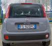 Fiat Panda Panda  1.2  BENZINA Lounge s Grigio - thumbnail 5