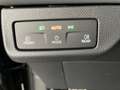CUPRA Terramar 2.0 TSI 204 PS DSG 4Drive Grau - thumbnail 27