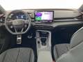 CUPRA Terramar 2.0 TSI 204 PS DSG 4Drive Grau - thumbnail 29