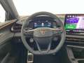 CUPRA Terramar 2.0 TSI 204 PS DSG 4Drive Grau - thumbnail 12