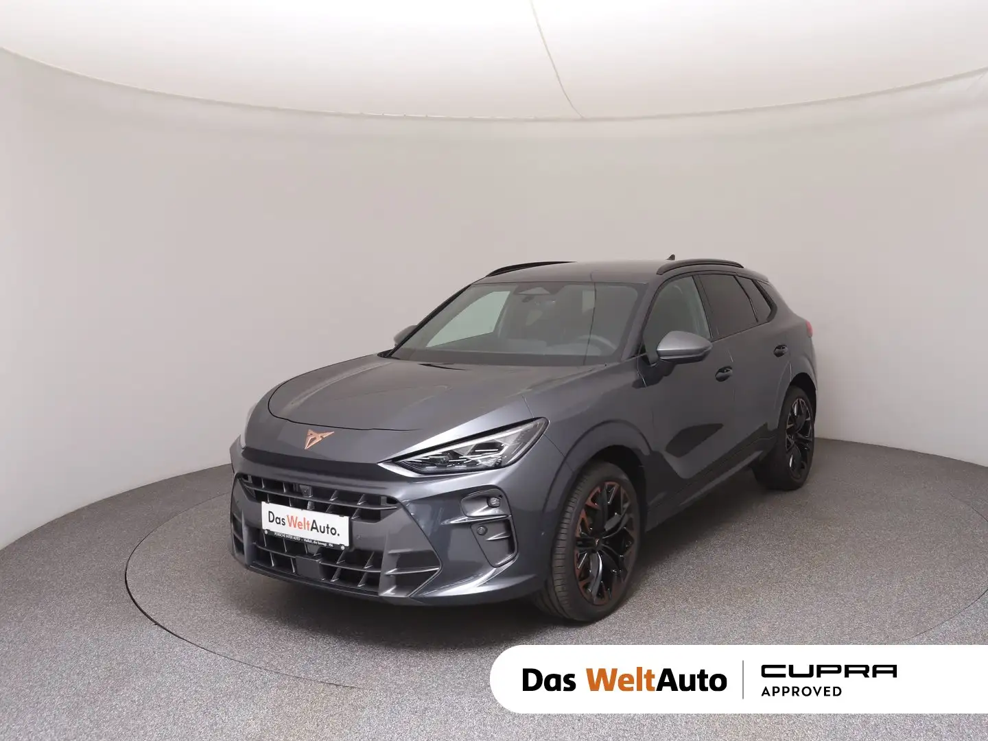 CUPRA Terramar 2.0 TSI 204 PS DSG 4Drive Grau - 1