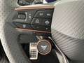 CUPRA Terramar 2.0 TSI 204 PS DSG 4Drive Grau - thumbnail 14