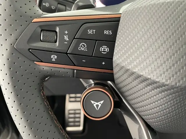 Cupra Terramar view 14