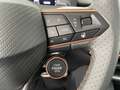 CUPRA Terramar 2.0 TSI 204 PS DSG 4Drive Grau - thumbnail 15