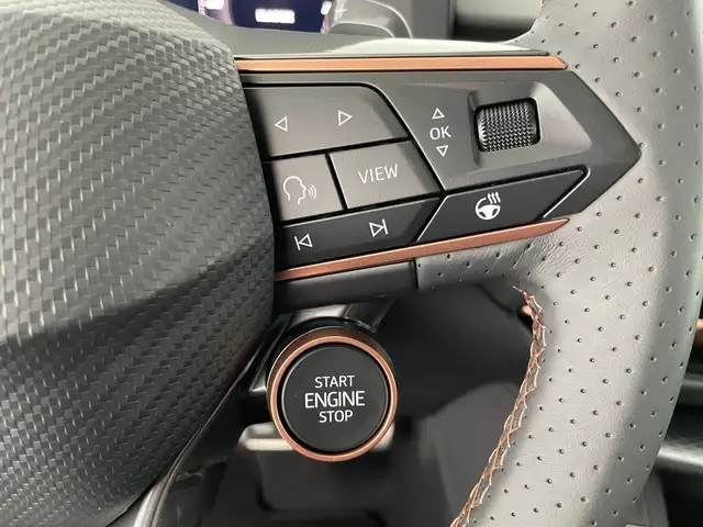 Cupra Terramar view 15