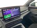 CUPRA Terramar 2.0 TSI 204 PS DSG 4Drive Grau - thumbnail 9