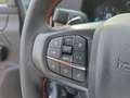 Ford Ranger Raptor 3,0 l EcoBoost *Raptor-Paket* Grau - thumbnail 17