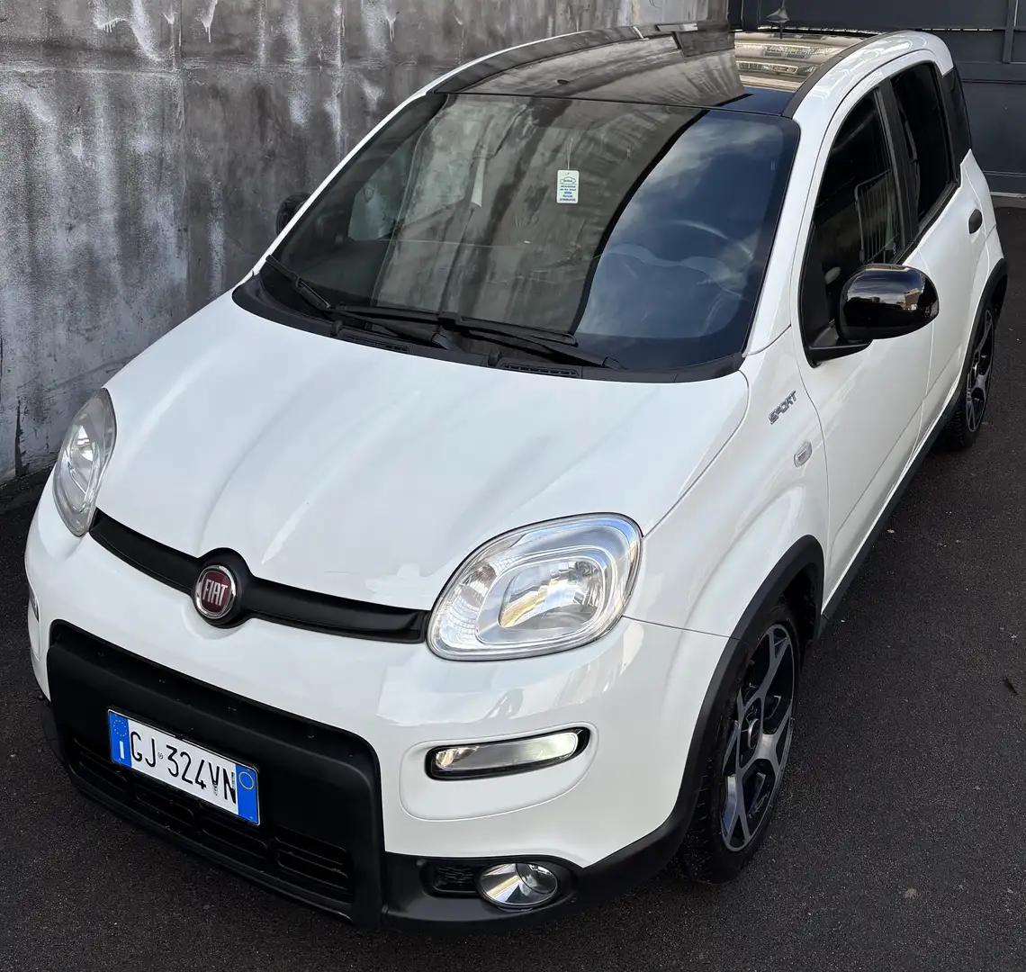 Fiat Panda 1.0 firefly hybrid Sport s&s 70cv - 1