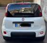 Fiat Panda 1.0 firefly hybrid Sport s&s 70cv - thumbnail 8