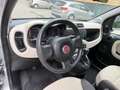Fiat Panda 0.9 Natural Power - NEOPATENTATI - GARANTITA - Argent - thumbnail 7