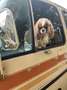 GMC Sonstige - thumbnail 2