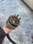 GMC Sonstige - thumbnail 6