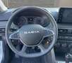Dacia Sandero STEPWAY EXPRESSION GPL 100cv PRONTA NEOPATENTATI Blu/Azzurro - thumbnail 12