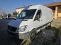 Mercedes-Benz Sprinter LUNGO   7 METRI - thumbnail 4