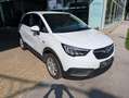 Opel Crossland X 1,2 Turbo Direct Injection Innovation St./St Aut Weiß - thumbnail 7