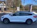 Ford Focus 2,0 EcoBlue Active X,* LED, ACC, Panorama,Virtual* Weiß - thumbnail 4
