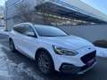 Ford Focus 2,0 EcoBlue Active X,* LED, ACC, Panorama,Virtual* Weiß - thumbnail 10