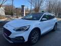 Ford Focus 2,0 EcoBlue Active X,* LED, ACC, Panorama,Virtual* Weiß - thumbnail 1