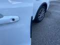 Ford Focus 2,0 EcoBlue Active X,* LED, ACC, Panorama,Virtual* Weiß - thumbnail 15