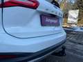 Ford Focus 2,0 EcoBlue Active X,* LED, ACC, Panorama,Virtual* Weiß - thumbnail 6