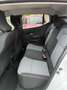 Dacia Sandero STEPWAY 1.0 TCE EXTREME ECO-G 100CV CAM Bianco - thumbnail 6
