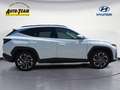 Hyundai TUCSON 1.6 T-GDi 48V-Hybrid 2WD DCT Prime (NX4e) Weiß - thumbnail 5