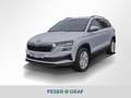 Skoda Karoq 1.5 TSI Selection DSG Navi RüKa Sitzh. Weiß - thumbnail 1